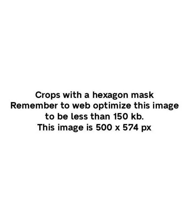 Masthead Placeholder 500 x 574